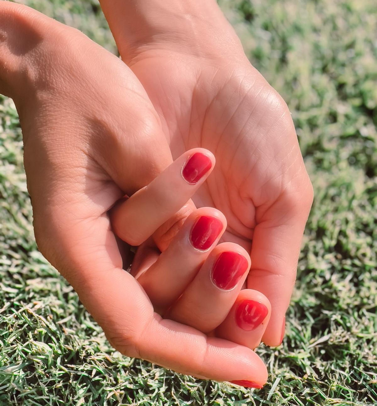 Energieheilerin Susan heiler Deutschlande, heiler Stralsund, heiler MV, Heilung für Körper, Geist und Seele, Heilerin Susan, Energie, Gesundheit, Reiki